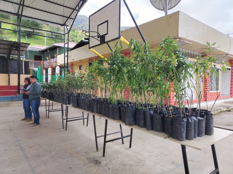 Entregamos 500 plantas frutales de manzana, durazno y aguacate